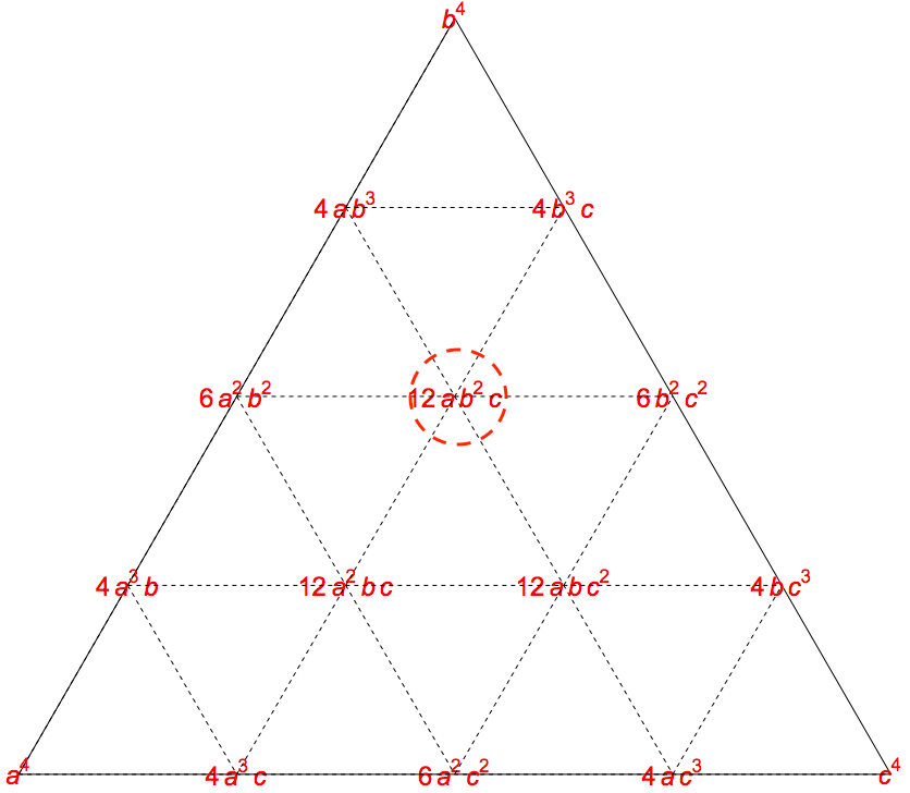 (a+b+c)^4